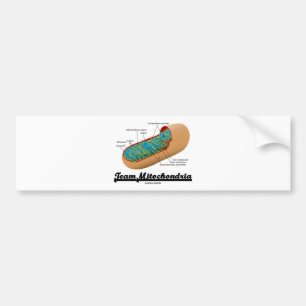 Autocollant De Voiture Mitochondries d'équipe (humour de mitochondrie)