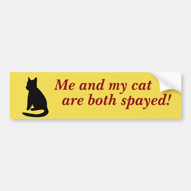 Autocollant De Voiture Moi et mon adhésif pour pare-chocs de chat (Devant)