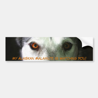 Autocollant De Voiture Mon adhésif pour pare-chocs de Malamute d'Alaska
