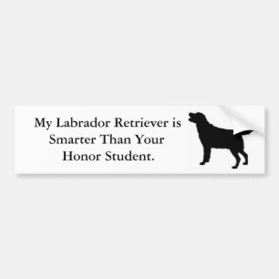 Autocollant De Voiture Mon labrador retriever est plus futé