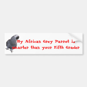 Autocollant De Voiture Mon perroquet de gris africain…