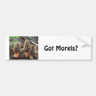 Autocollant De Voiture Morelles obtenues ? Adhésif pour pare-chocs