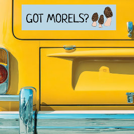 Autocollant De Voiture Morels Champignons Fun Fungi PERSONNALISER IT