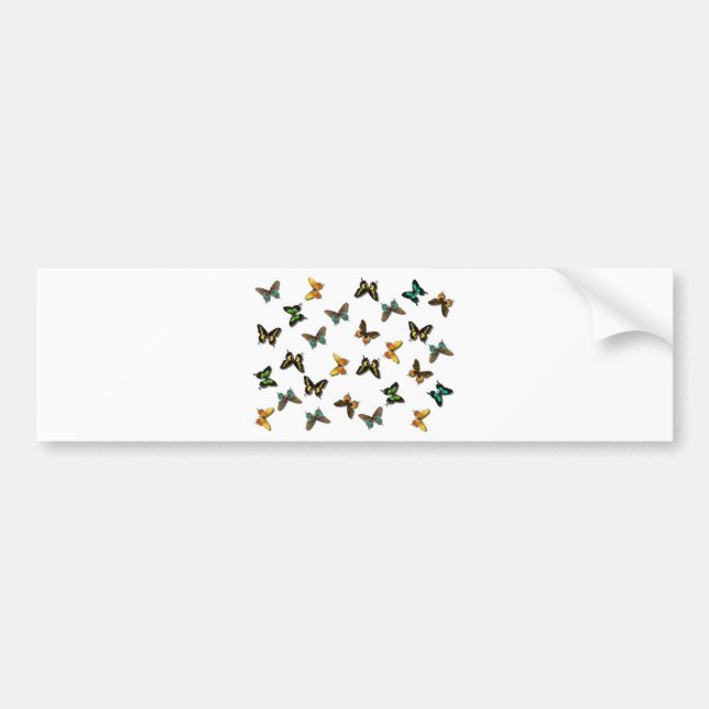 Autocollant De Voiture Motif de papillons (Devant)