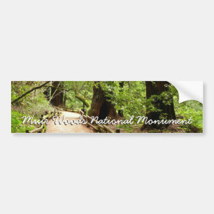 Autocollant De Voiture Muir Woods Path II Nature Photography