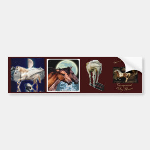 Autocollant De Voiture Multi-autocollants 9 EQUINE Set