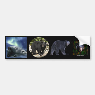 Autocollant De Voiture Multi-autocollants V BEAR Set