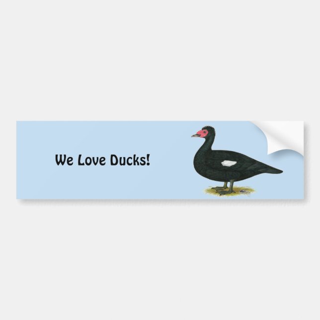 Autocollant De Voiture Muscovy Black Drake (Devant)