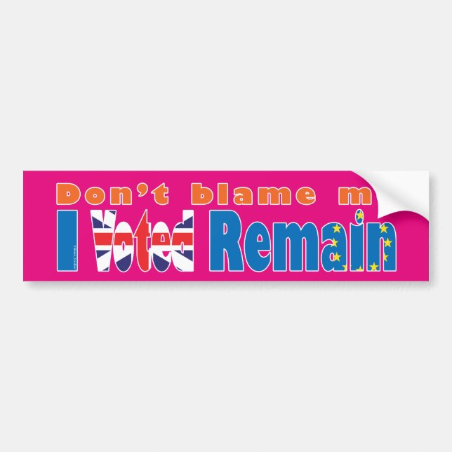 Autocollant De Voiture "Ne me blâmez pas, I Voted restent" référendum (Devant)