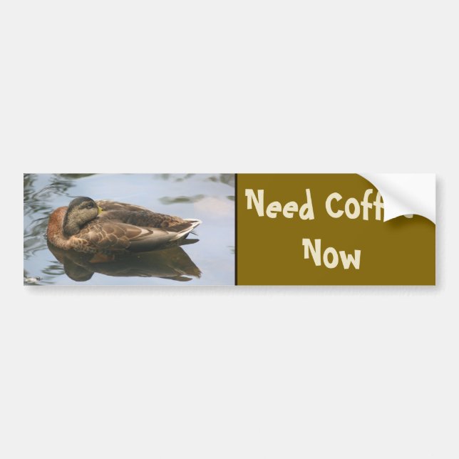 Autocollant De Voiture Need Coffee Funny Duck (Devant)