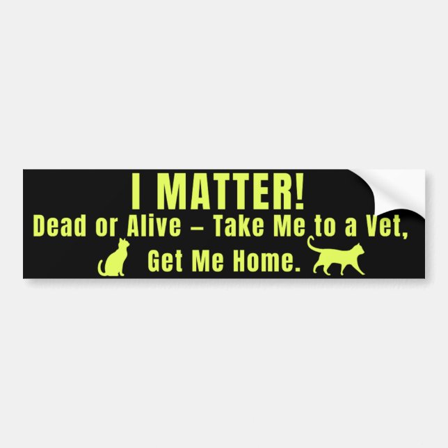 Autocollant De Voiture Neon Yellow "I Matter" (Devant)