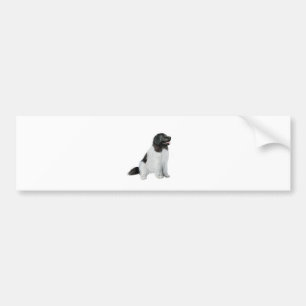 Autocollant De Voiture Newfoundland (C) - Landseer #1