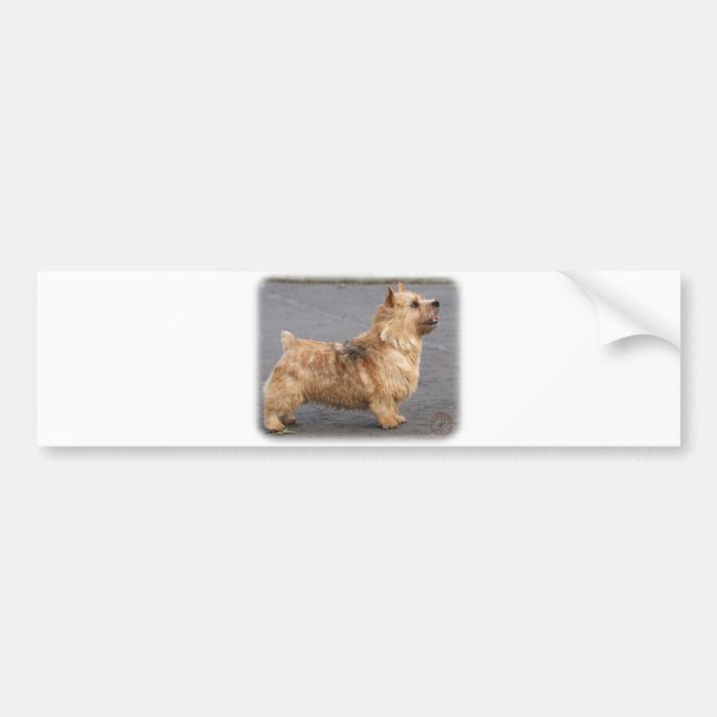 Autocollant De Voiture Norwich Terrier (Devant)
