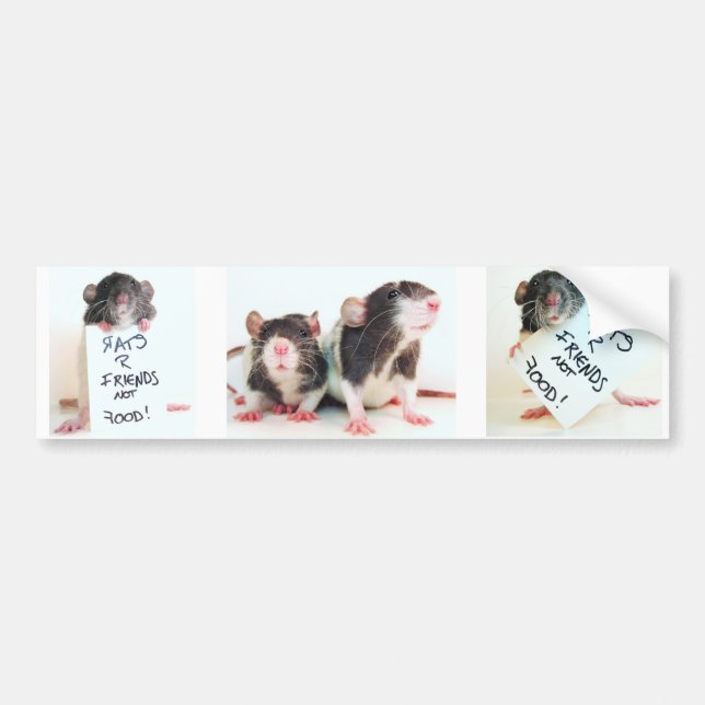 Autocollant De Voiture Nourriture 2 d'amis des rats R pas (Devant)