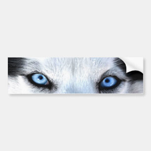 Autocollant De Voiture Oeil bleu sibérien