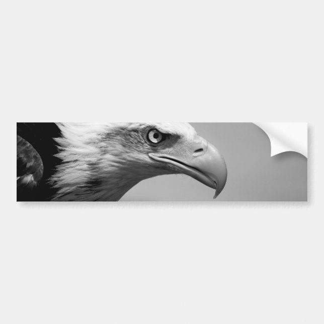 Autocollant De Voiture Oeil d'aigle noir et blanc (Devant)