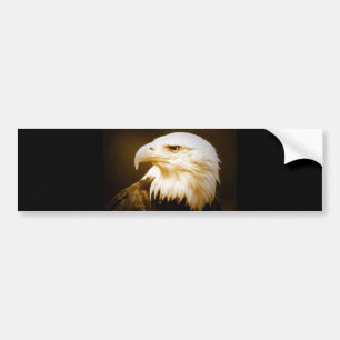 Autocollant De Voiture Oeil d'Eagle chauve d'Américain