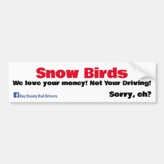 Autocollant De Voiture Oiseaux de neige - Nous aimons votre argent