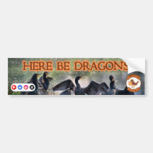 Oiseaux intrus : Voici Les Dragons