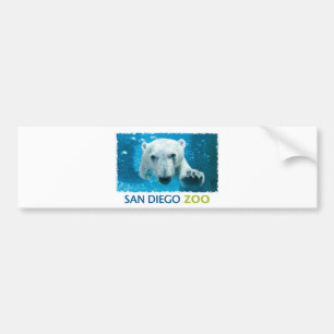 Autocollant De Voiture Ours blanc de zoo de San Diego