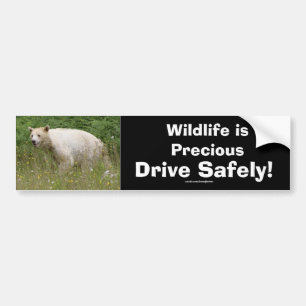 Autocollant De Voiture Ours de la faune Amoureux des animaux Design