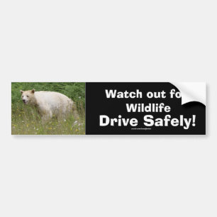 Autocollant De Voiture Ours de la faune Amoureux des animaux Design