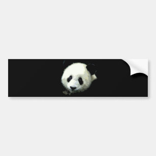 Autocollant De Voiture Ours panda