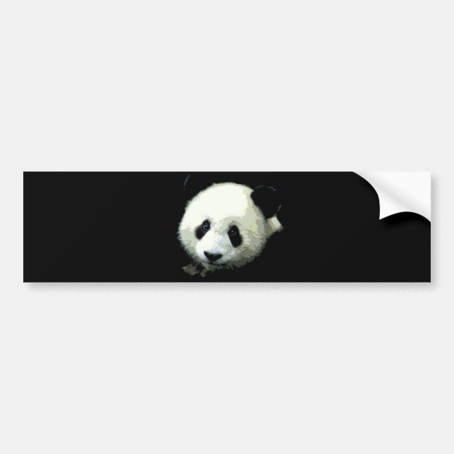 Autocollant De Voiture Ours Panda (Devant)