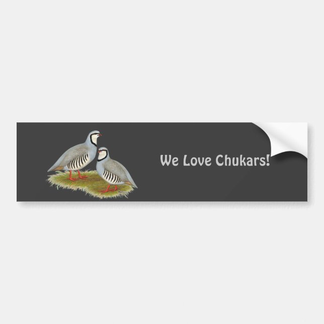 Autocollant De Voiture Paire de perdrix de Chukar (Devant)