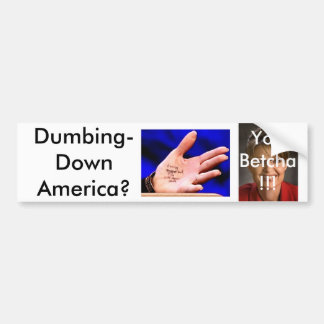 Autocollant De Voiture Palin3