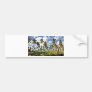 Autocollant De Voiture Palm trees on the beach of Isla Saona
