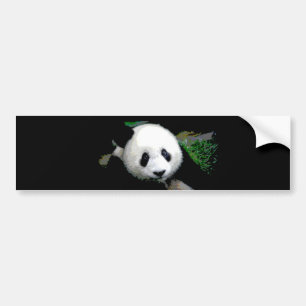 Autocollant De Voiture Panda Pop Art