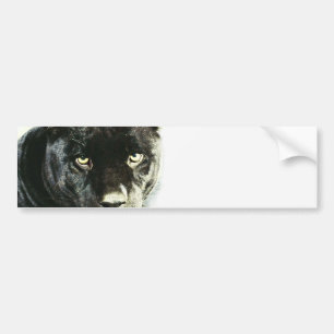 Autocollant De Voiture Panthère noire de Jaguar