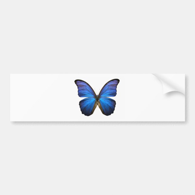 Autocollant De Voiture Papillon bleu rayonnant (Devant)