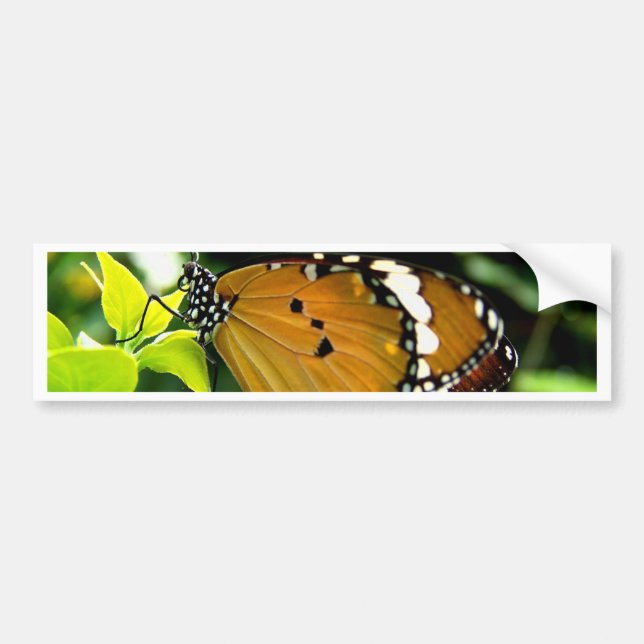 Autocollant De Voiture Papillon orange, noir et blanc sur feuille (Devant)