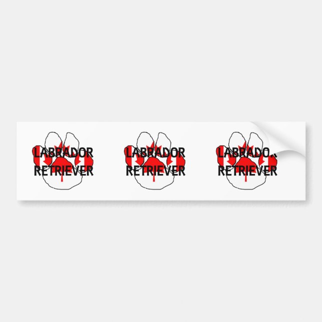 Autocollant De Voiture Pare-feu de nom LR (Devant)