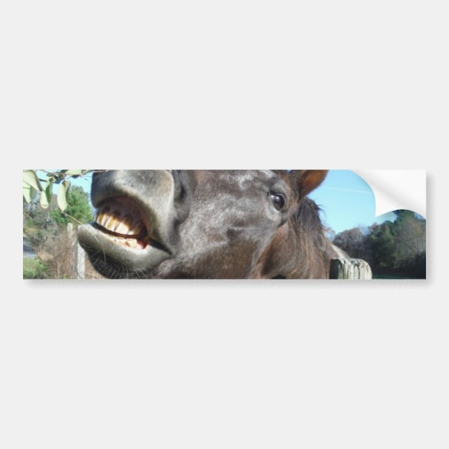 Autocollant De Voiture Parler de cheval Brown (Devant)