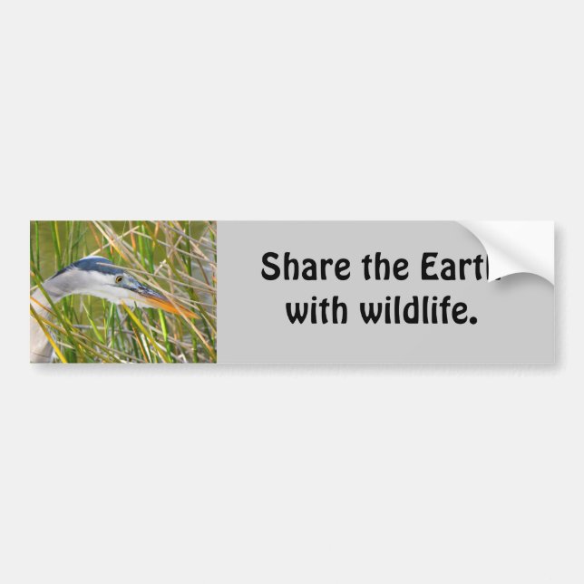 Autocollant De Voiture Partagez la Terre avec la faune (Devant)