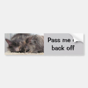 Autocollant De Voiture Passe-moi ou recule du véhicule pour chat