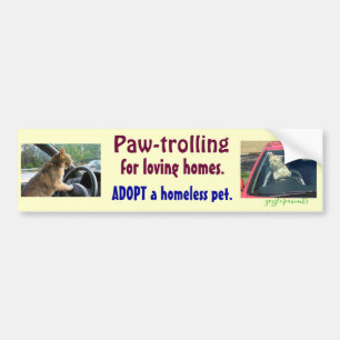 Autocollant De Voiture Paw-trolling