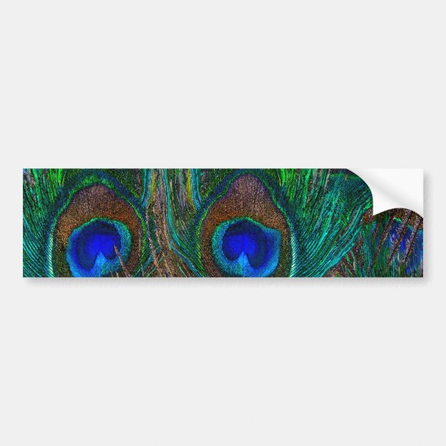 Autocollant De Voiture Peacock Coloré Plumes Etching Style (Devant)