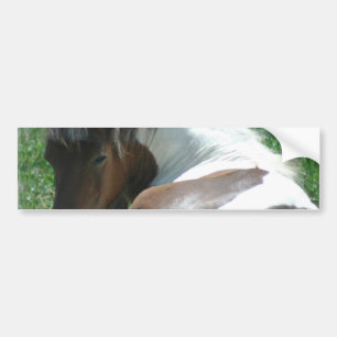 Autocollant De Voiture Peignez le poney reposant l'autocollant de butoir