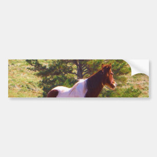 Autocollant De Voiture Peint Poney par le pin