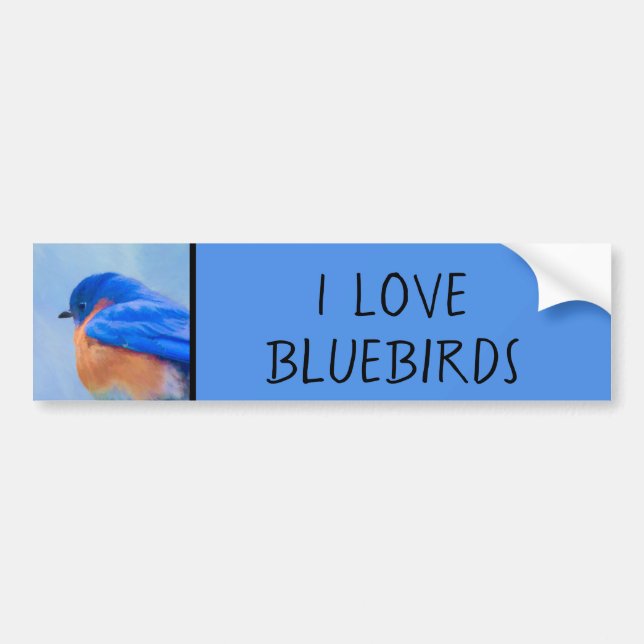 Autocollant De Voiture Peinture Bluebird - Art original pour oiseaux (Devant)