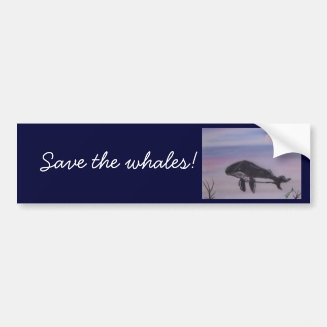 Autocollant De Voiture Peinture de baleine de bosse (Devant)