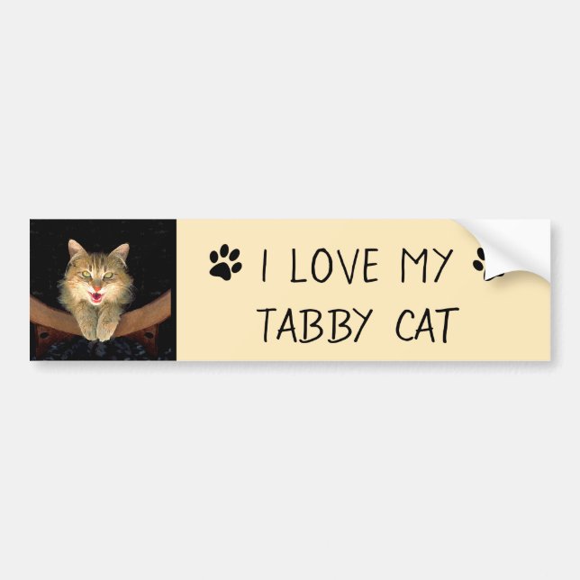 Autocollant De Voiture Peinture de chat Mad - Cute Original Cat Art (Devant)