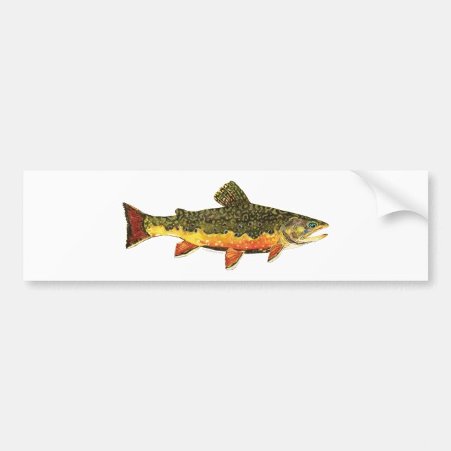 Autocollant De Voiture Peinture de poisson à l'omble de fontaine (Devant)