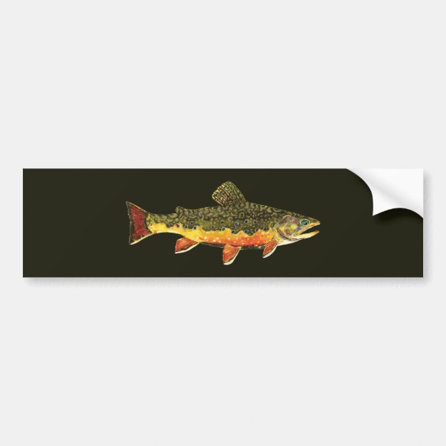 Autocollant De Voiture Peinture de poissons de truite broyée (Devant)