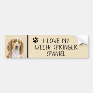 Autocollant De Voiture Peinture d'espagnol Welsh Springer - Art original 