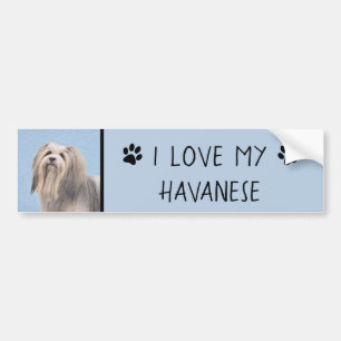Autocollant De Voiture Peinture Havanaise (Argent) - Cute Original Chien 